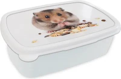 Obrázek produktu pro KitchenYeah® Lunchbox Sendvičový box 17x11 cm Křeček jí semínka Dětský obědový box - Obědový box - Děti - Sendvičový box - Školní box - Boxy na oběd