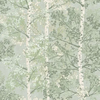 Produktbild von Rasch - "Silverwood" Tapete AG4045 (10 m x 53 cm) (Grün)