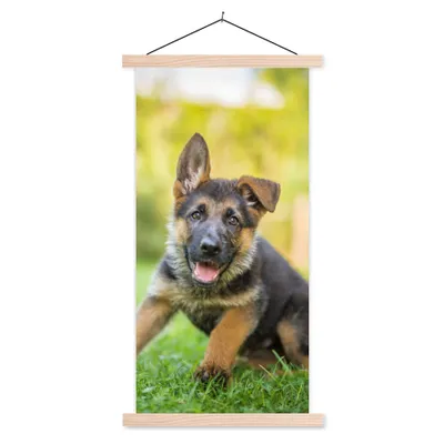 Produktbild von MuchoWow® Textilposter Welpe sitzt im Gras 60x120 cm mit holzfarbenen Rahmen - Holz