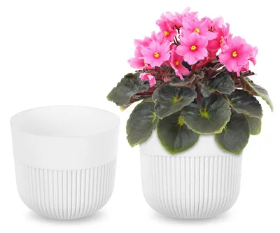 Image de KADAX Pot de fleurs Ø 13 cm, Pot de fleurs avec structure rainurée pour l'intérieur et l'extérieur, Pot de plantes en plastique, Cache-pot pour plantes d'intérieur (blanc)