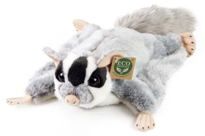 Produktbild von Plüsch-Fliegendes Eichhörnchen 30 cm umweltfreundlich