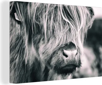 Produktbild von MuchoWow® - Leinwandbilder - Schottischer Highlander - Kuh - Schwarz - Weiß, Wandbild, Wanddeko Bilder Wohnzimmer, 120x80 cm
