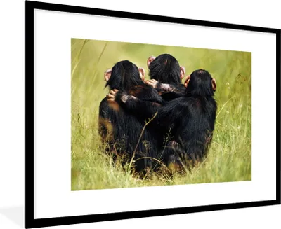 Produktbild von MuchoWow® MuchoWow® Gerahmtes Poster Affe - Gras - Tiere 90x60 cm - Poster mit zchwarzem Bilderrahmen - Wanddekoration - Fotos