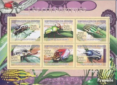 Produktbild von Briefmarken Guinea 2009 Mi 6355-6360 Kleinbogen (kompl. Ausgabe) postfrisch Käfer