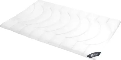 Produktbild von Spessarttraum Daunendecke Silber Füllung aus 100% Daunen Bezug aus 100% Baumwolle Größe 240 x 220   Wärmeklasse polar Warm