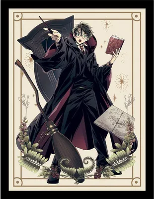 Produktbild von Harry Potter: Wizard Dynasty - Gerahmtes Poster, Zauberworte PM8926 (40 cm x 30 cm) (Bunt)