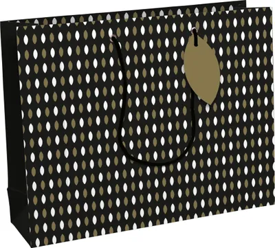 Produktbild von Clairefontaine 6x Elegant, Geschenktasche 37,3x11 ,8xx27,5cm Schwarz 32490-6C