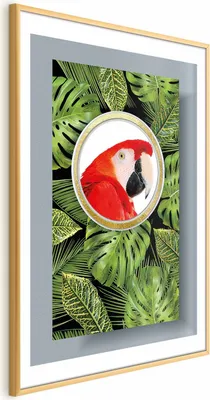 Produktbild von Posterpapier Poster - Parrot in the Jungle 40x60 cm Blätter g-C-0123-ao-a