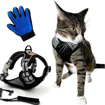 Produktbild von Famanu Katzen- und Hundeharnisch - Schwarz - L Set mit Leine und Massagehandschuh