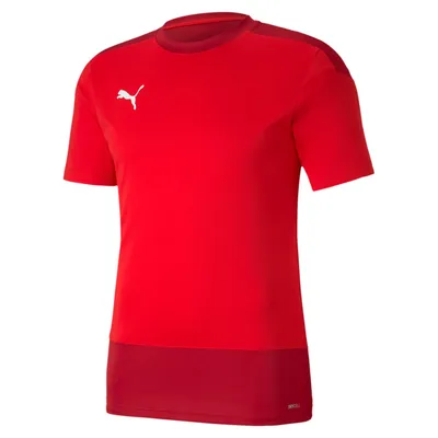 Image de Puma teamGOAL 23 Maillot d'entraînement
