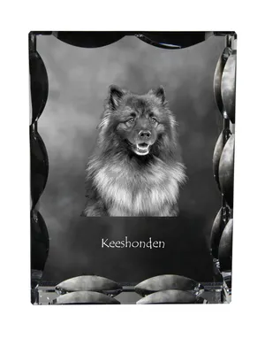 Image de Keeshond cadre en cristal avec chien Art-Dog