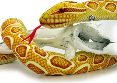 Produktbild von Goldpython HONEY Albino Schlange Plüschschlange Python gelb 150 cm Plüschtier Kuscheltier Plüschpython