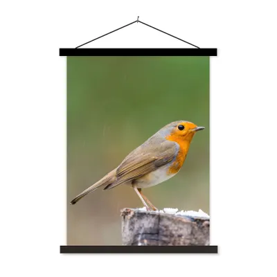 Produktbild von MuchoWow® Textilposter Tiere - Vogel - Rotkehlchen 90x120 cm mit schwarzem Rahmen - Dekoration