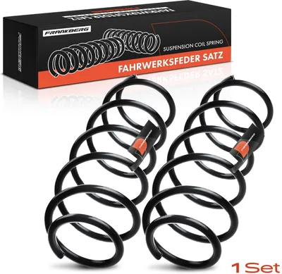 Produktbild von Frankberg 2x Fahrwerksfeder Hinterachse für Ford Mondeo III B5Y Stufenheck B4Y 2000-2007