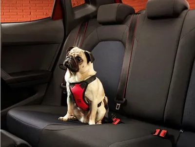 Obrázek produktu pro SEAT bezpečnostní postroj pro psy, M
