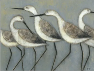 Produktbild von ARTland Wandbild Alu für Innen & Outdoor Küstenvögel I Größe: 120x90 cm