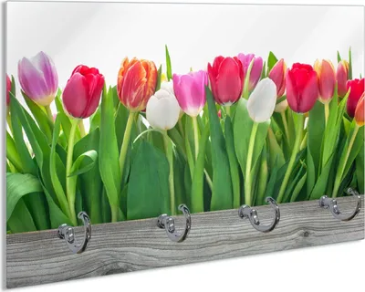 Produktbild von Wallario Schlüsselbrett aus Glas, Motiv: Rote  weiße und pinke Tulpen im Frühling, 30 x 20 cm mit 4 Haken