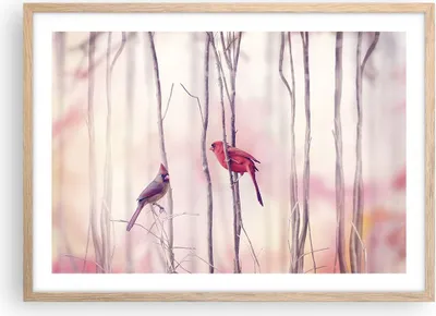 Produktbild von Gerahmtes Poster - Rahmen in heller Eiche - Vögel Kardinal Scharlachrot - 70x50 cm - Wand Bild - Wanddeko - Wandbilder - Wandposter - Bilderrahmen - Bilder - Kunstdruck - Wandbild - P2NAA70x50-4256