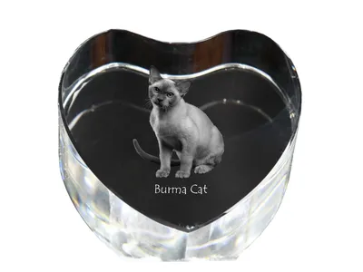 Produktbild von Birmakatze - Kristalluhr mit Katzenbild, Herzregal-Uhr, personalisierte Standuhr von Art-Dog.