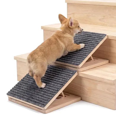 Immagine prodotto di Set di 2 rampe pieghevoli in legno per cani