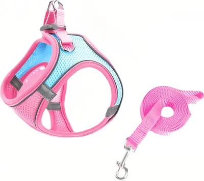 Image de Harnais pour chien réglable, réfléchissant et respirant avec laisse de 150 cm pour chiens de petite et moyenne taille et chats (taille S,rose&bleu)