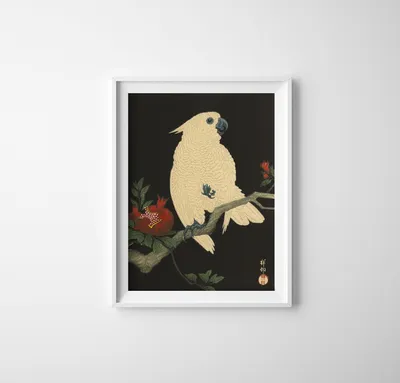 Produktbild von Poster - Canvas - Leinwand - 29,7 cm x 42 cm - Papagei