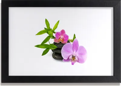 Produktbild von Bild 30x20 MDF-Rahmen Wandkunst Blume Orchidee Pflanze