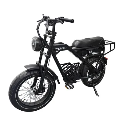 Image de T3 Offroad-El, vitesse maximale de 25 km/h, vélo électrique pour adultes, 250W, 48V 18Ah, pneus tout-terrain de 20 pouces, charge maximale de 150 kg, indice de protection IPX4