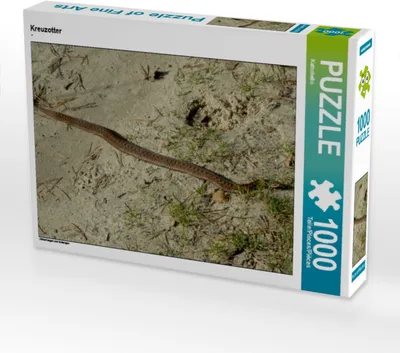 Produktbild von Calvendo Kreuzotter 1000 Teile Puzzle quer 640x480mm, CALVENDO; 7313942