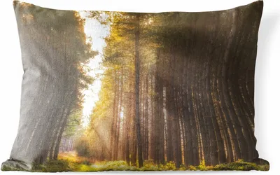 Produktbild von MuchoWow® Outdoor Kissen - Baum - Gras - Sonne - 60x40 cm - Wetterfest - Lounge Kissen - Zierkissen - Kissen für Innenräume