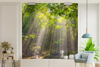 Produktbild von Sonnenschutz-Vorhang - Fotovorhang mit Blätterdek - Breite 260 cm x Höhe 260 cm