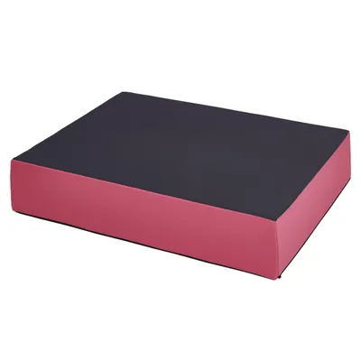 Immagine prodotto di Cuscino gonfiabile Jump 99 x 75 x 18 cm - rosa - Materasso gonfiabile per bambini dai 4 anni in su - Tappetino da gioco Tappetino da ginnastica Materasso per saltare, giocare, divertirsi e mantenere l'equilibrio