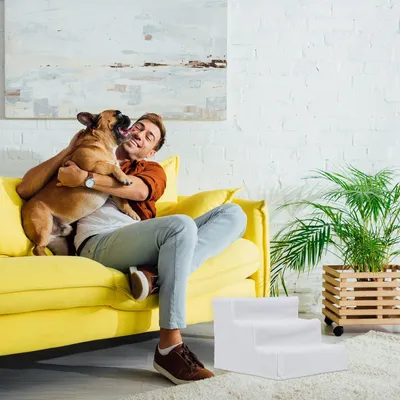 Productafbeelding van Hondentrap - Trap voor honden - Trap voor huisdieren