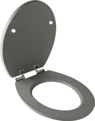 Produktbild von WC-Sitz Soft Touch grau mit Absenkautomatik