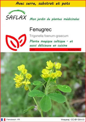 Image de SAFLAX Ensemble de culture - Fenugrec - 100 graines - Trigonella