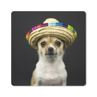 Produktbild von MuchoWow® Mauspad Mousepad Hund - Sombrero - Schwarz 30x30 cm - Mousepads - Maus Mat - Pad - Mausunterlage - Gaming
