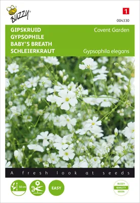 Image de Schleierkraut Covent Garden Blanc | Graines de Schleierkraut de Buzzy Seeds