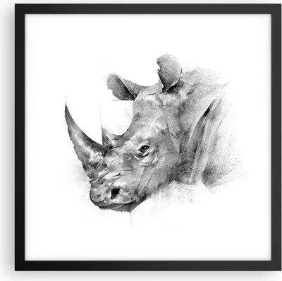 Produktbild von Gerahmtes Poster - Schwarzer Rahmen - Nashorn Porträt Grafik - 40x40 cm - Wand Bild - Wanddeko - Wandbilder - Kunstposter - Wandposter - Bilderrahmen - Bilder - Kunstdruck - P2BAC40x40-4378