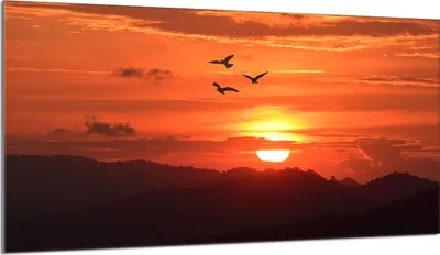 Produktbild von Glasschutzplatte für den Herd 90x52 Sun