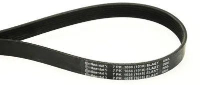 Zdjęcie produktu dla Pasek Wielorowkowy 7Pk1038 Elast