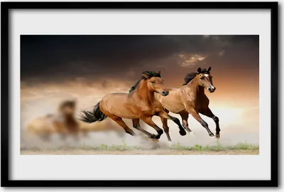 Produktbild von Bild 60x40 MDF-Rahmen Wandkunst Pferde Tiere