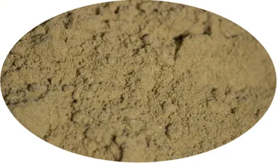 Image de Eder Gewürze - Fenouil moulu - 1 kg