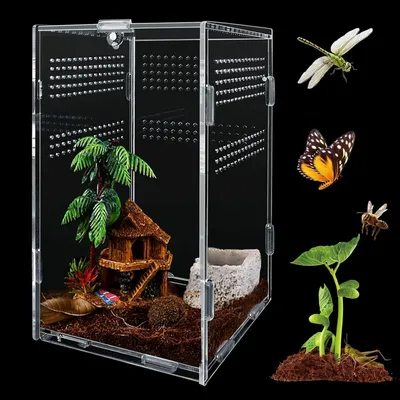 Image de Terrarium acrylique pour animaux, boîte d'élevage universelle, 12 x 12 x 20 cm, pour reptiles et amphibiens
