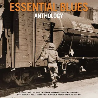 Immagine prodotto di Antologia del blues vario-essenziale
