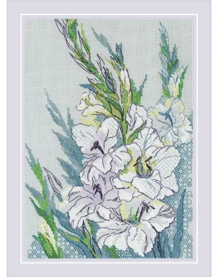 Productafbeelding van Riolis Blackwork Stickset "Weiße Gladiolen", Zählmuster, 21x30cm