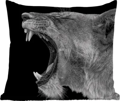 Produktbild von MuchoWow® Outdoor Kissen - Tiere - Löwe - Schwarz - Weiß - Porträt - 60x60 cm - Wetterfest - Lounge Kissen - Dekoration - Schlaf Kissen