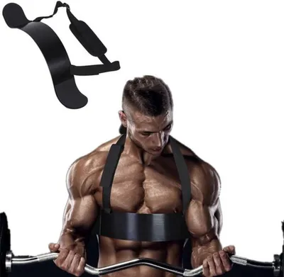 Verstellbarer Bizepstrainer für Bodybuilding und Fitness, unterstützendes Band für Muskeltraining und Gewichtheben, ideal
