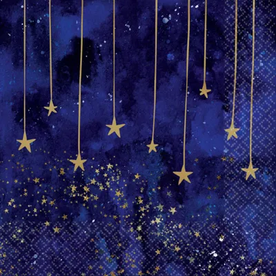 Obrázek produktu pro Amscan 16 Midnight Star ubrousky 33 cm
