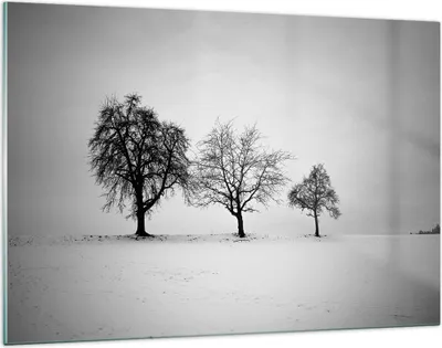 Produktbild von Bilder auf glas - Einteilig - Winter Bäume Schnee - 120x80cm - Glasbilder - Wandbilder - Bilder - zum Aufhängen bereit - Wanddekoration aus Glas - Glas Bilder - Wandbild auf Glas - GAA120x80-4958