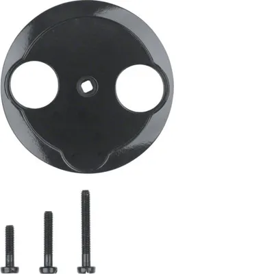 Produktbild von Berker 103921 - Schwarz - Duroplast - konventionell - Berker - Glänzend - IP20